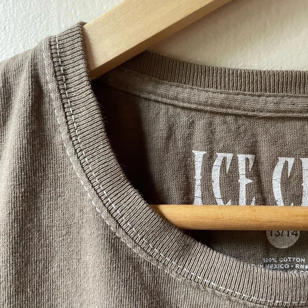 Ice Cube Crop Boxy Cotton Tee - Picture 4 of 8
